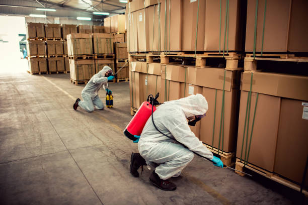 Best Mosquito Control Services  in Deer Lodge, MT