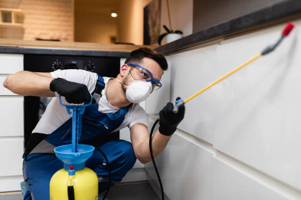 Best Local Pest Control Services  in Deer Lodge, MT