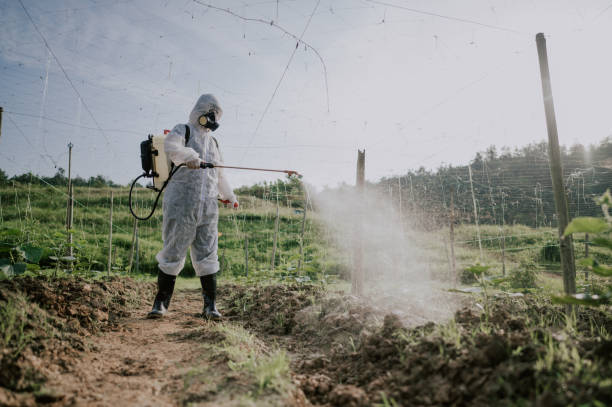 Best Ant Control Services  in Deer Lodge, MT