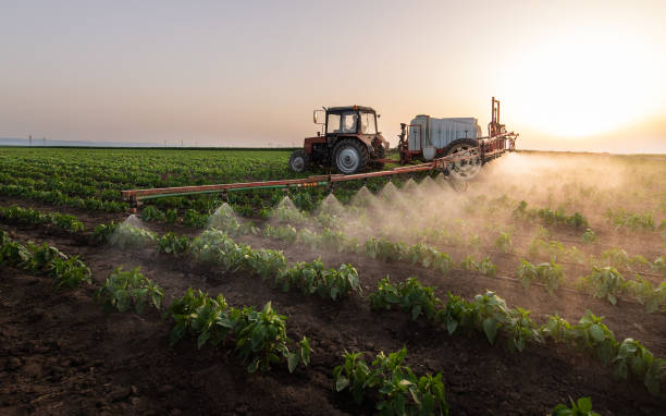 Best Best Pest Control Companies  in Deer Lodge, MT