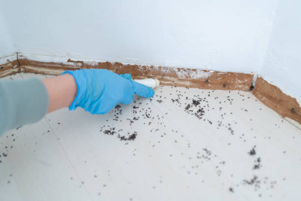 Pest Control Cost in Deer Lodge, MT