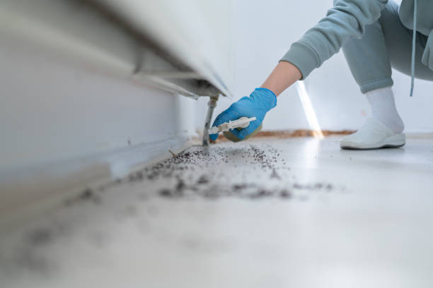Best Residential Pest Control  in Deer Lodge, MT